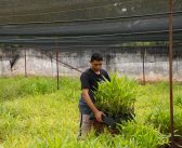 Prefeitura de Altamira abre Processo Seletivo Simplificado para estágio remunerado na SEMMA