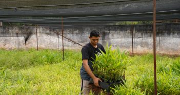 Prefeitura de Altamira abre Processo Seletivo Simplificado para estágio remunerado na SEMMA