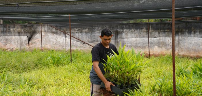 Prefeitura de Altamira abre Processo Seletivo Simplificado para estágio remunerado na SEMMA