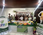 Curso de Crochê encerra com novas habilidades e incentivo à geração de renda em Altamira